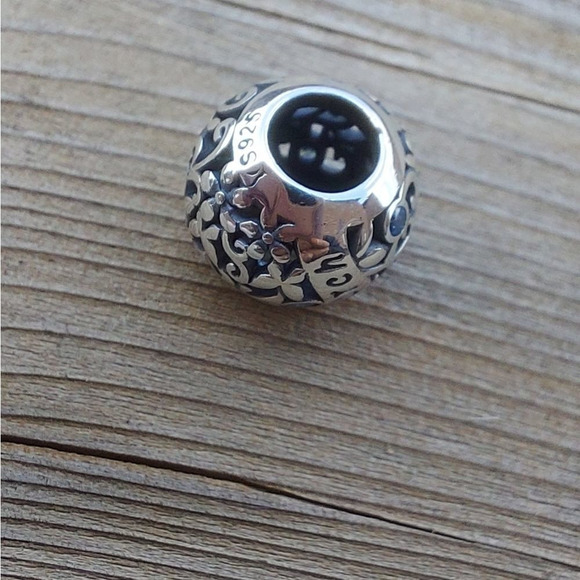 Host Pick 🎉925 Silver March Birthstone Charm - Picture 5 of 5